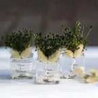 Bougie personnalisée invité mariage — cire soja artisanale | CréaBySana
